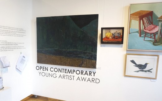 Open Contemporary Young Artist Award